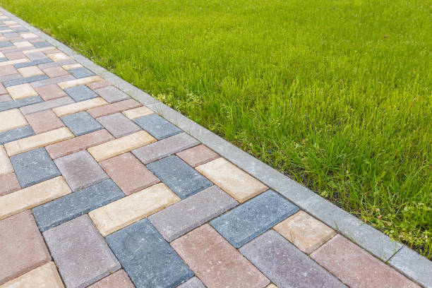 Best Driveway Paving Contractor  in Bluffton, SC